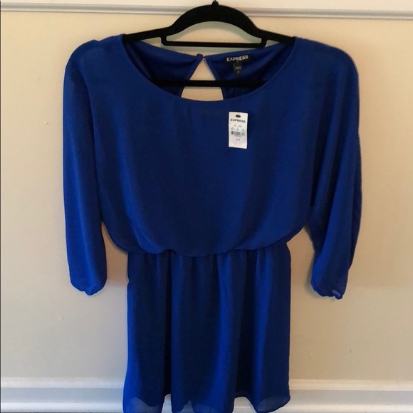 Royal blue Express dress - Picture 4 of 6